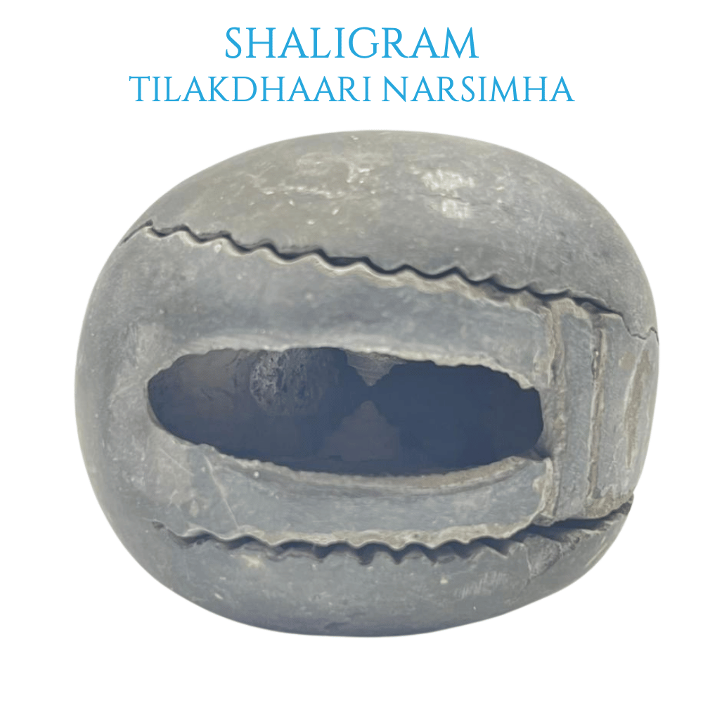 Tilakdhaari Narsimha Shaligram