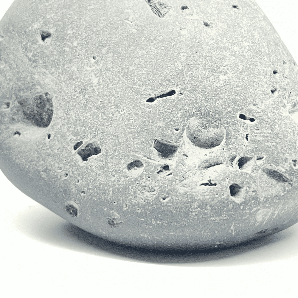 Ananta Govardhan Shaligram AN04(200gm/2.5inch)
