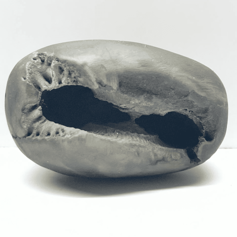Ugra Narsimha Shaligram LN97(2.5inch/135gm)