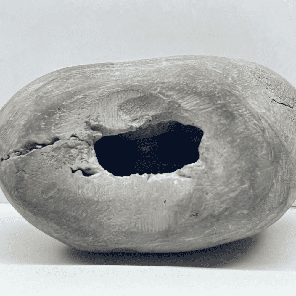 Laxmi Narayana Shaligram LN122(2.5inch/215gm)