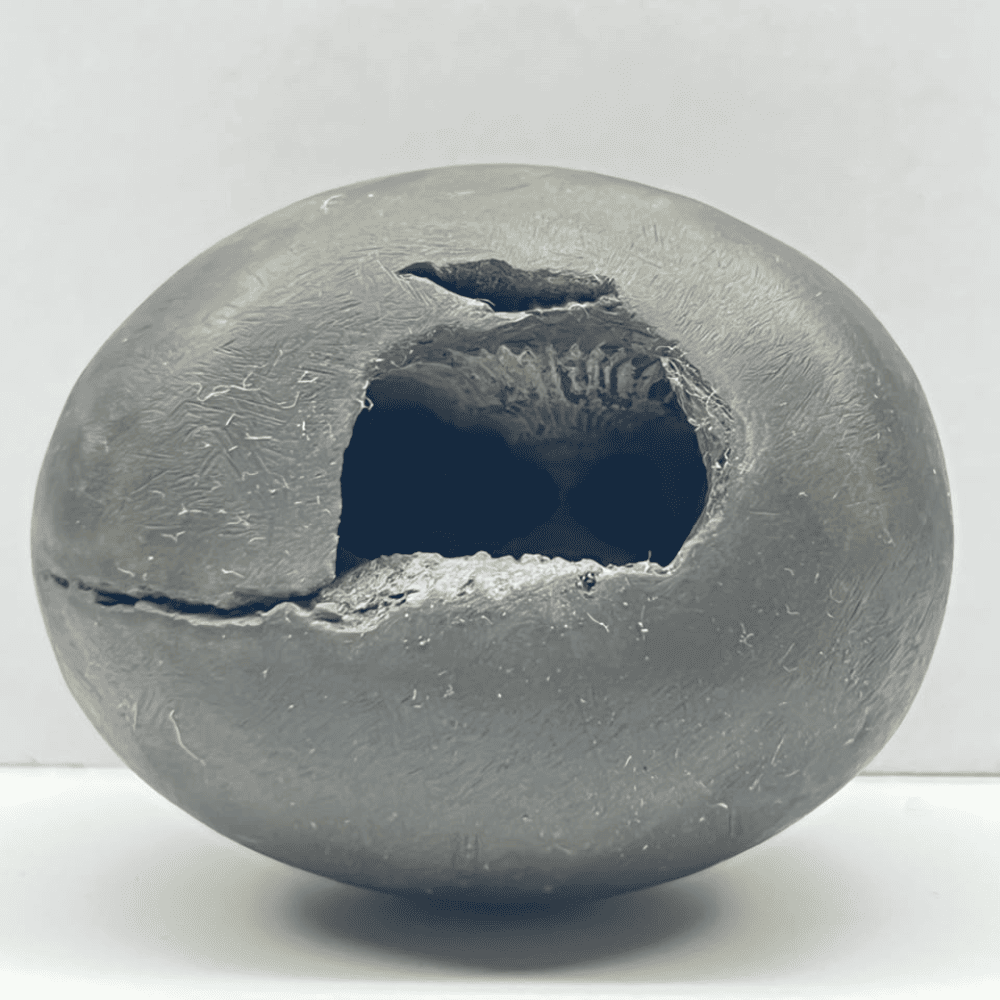 Laxmi Damodar Shaligram LN-77 (2.5inch/150gm)