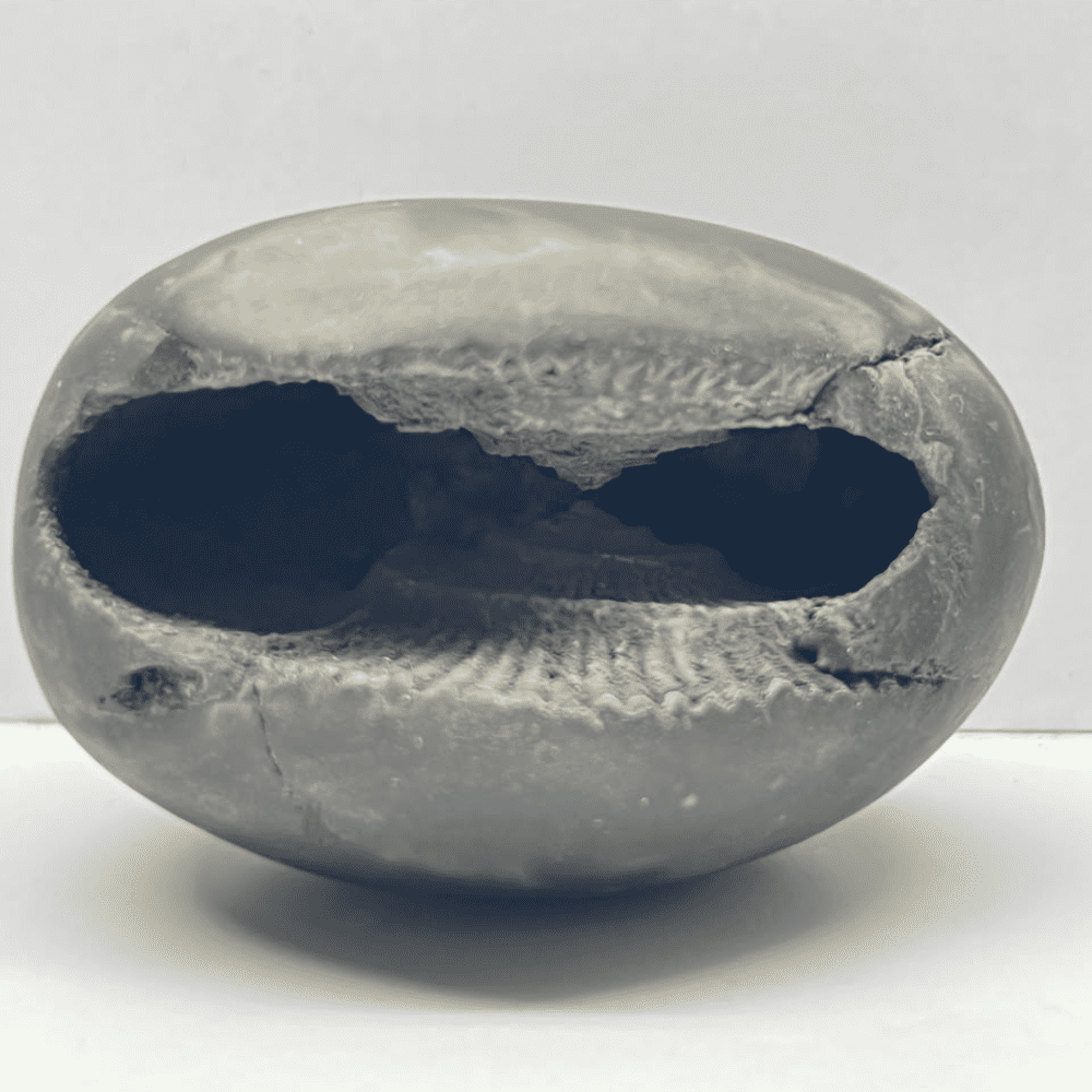 Laxmi Ugra Narsimha Shaligram (LN89-3INCH/150GM)