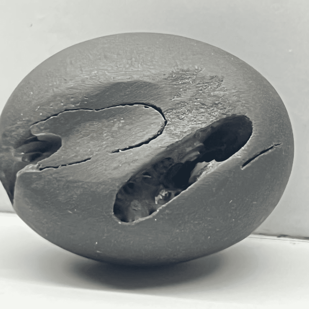 Janardana Shaligram 4chakras-M33(1.5inch/40gm)