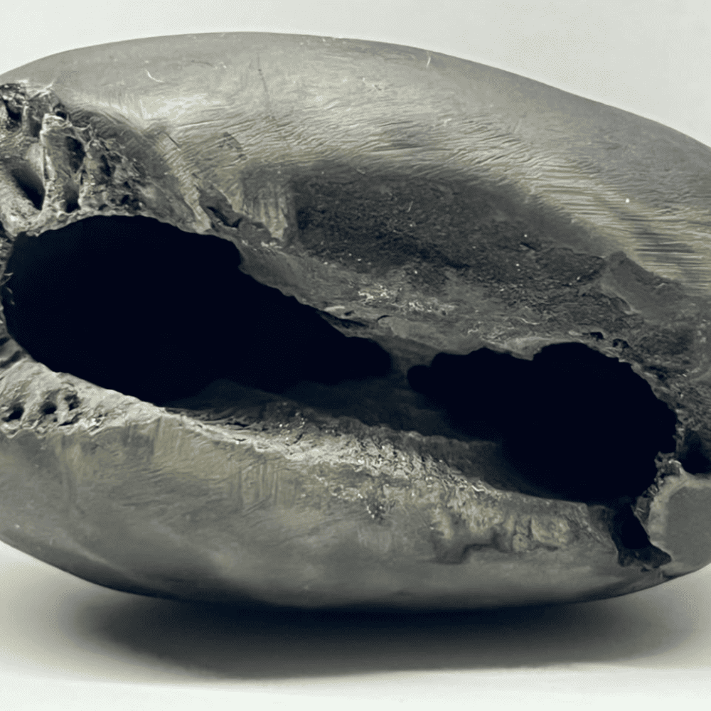 Ugra Narsimha Shaligram LN97(2.5inch/135gm)