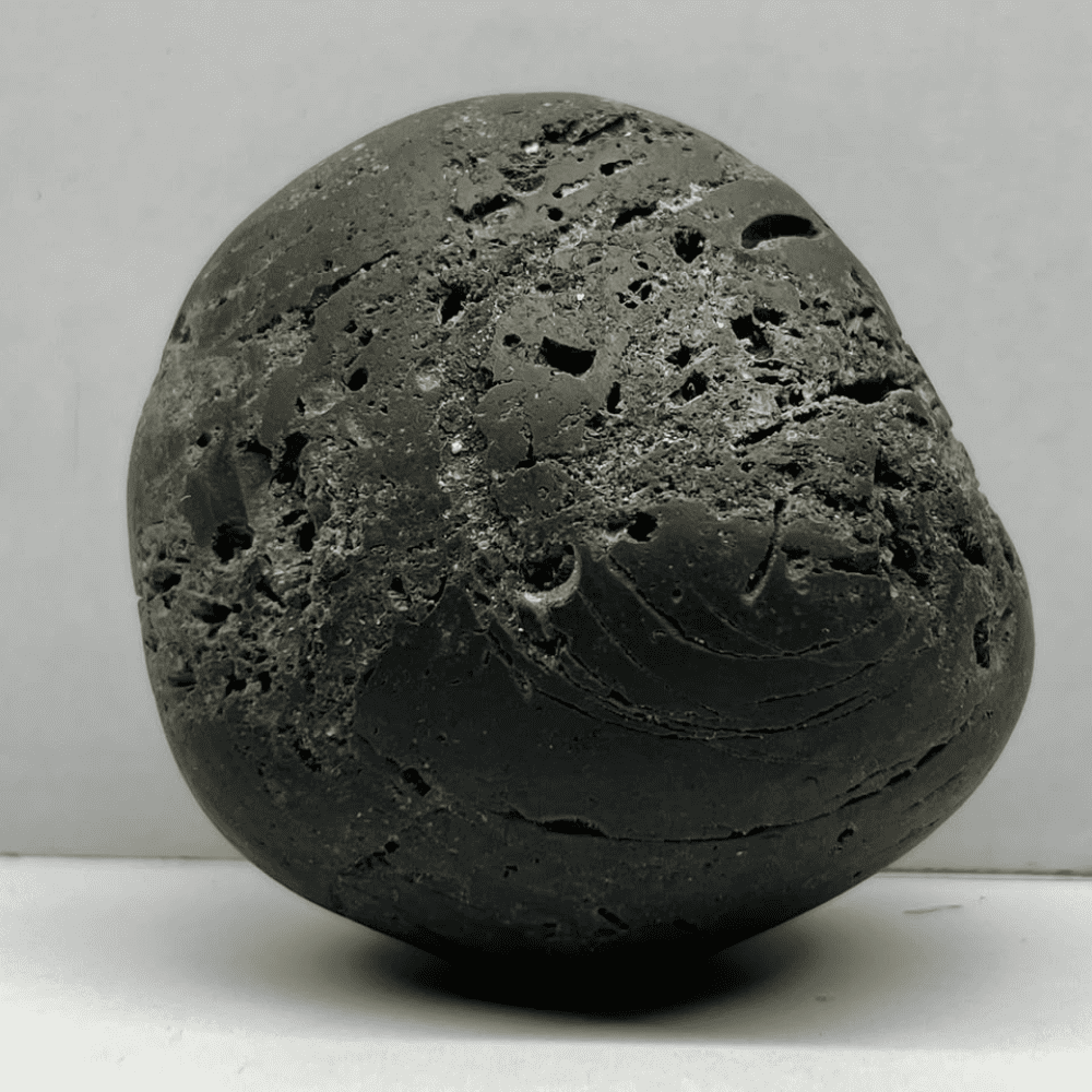 Ananta Brahma Shaligram AN05(170gm/2inch)
