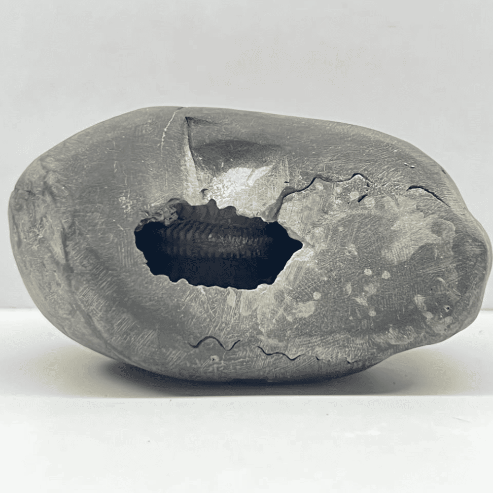 Sheshnaag Damodar Shaligram LN113(4inch/450gm)