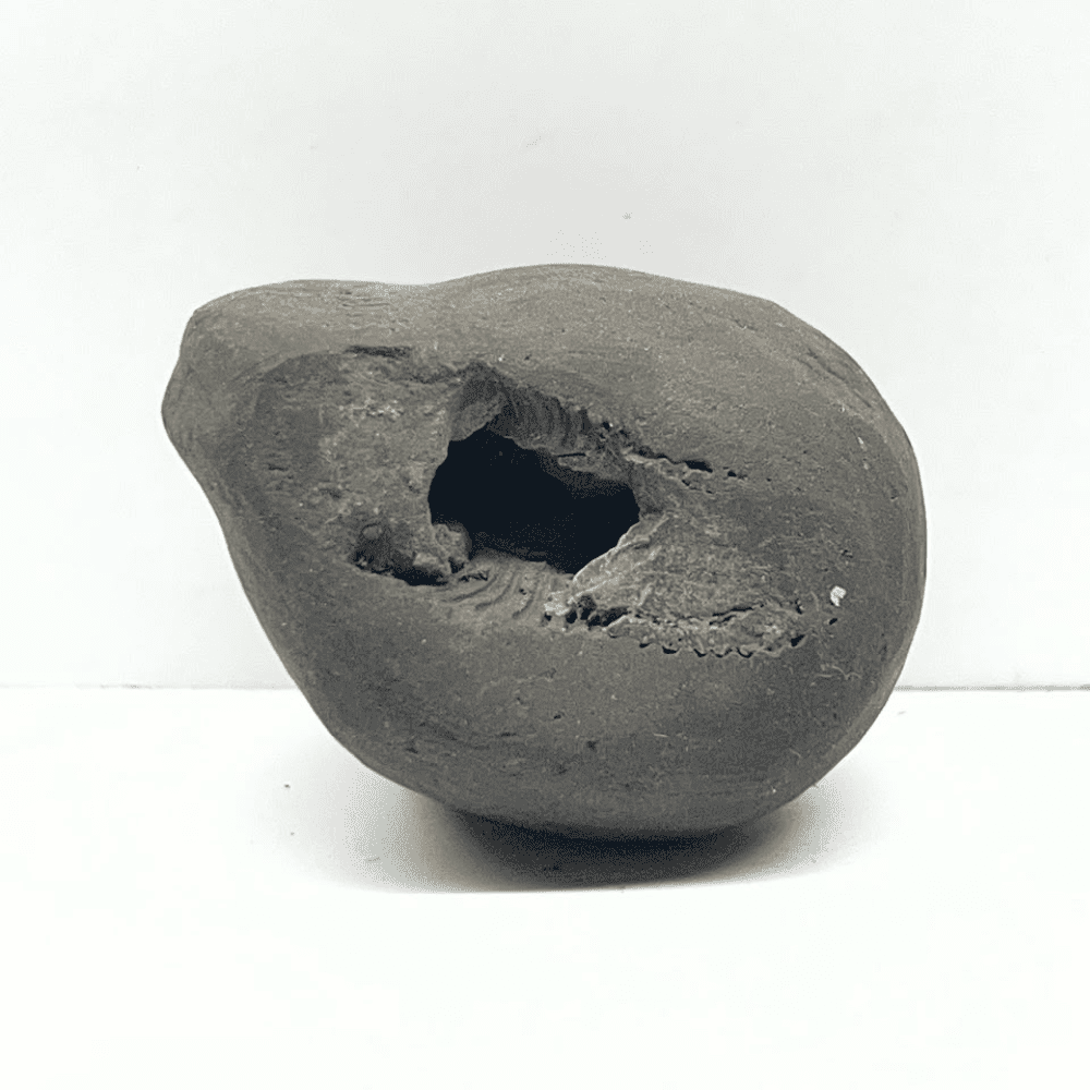 Laxmi Narayana Shaligram LN123(1.5inch/50gm)