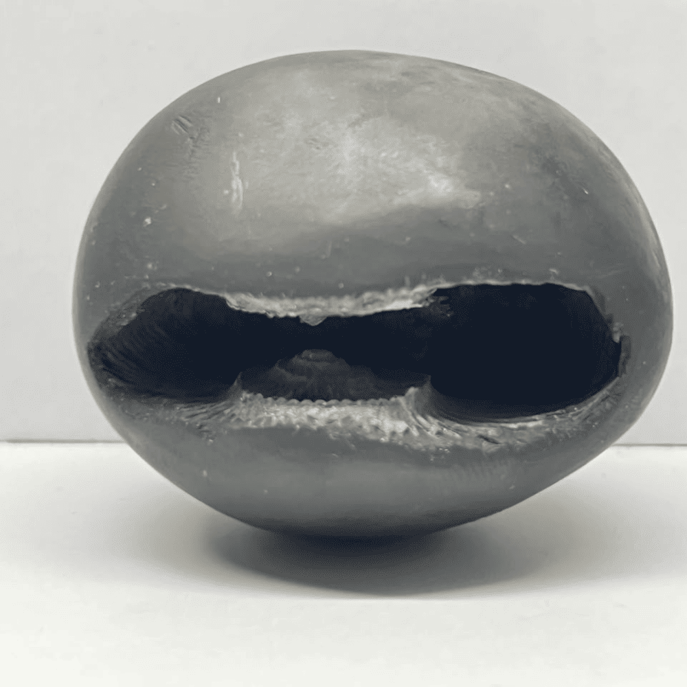 Laxmi Ugra Narsimha Shaligram (LN88-3INCH/170GM)