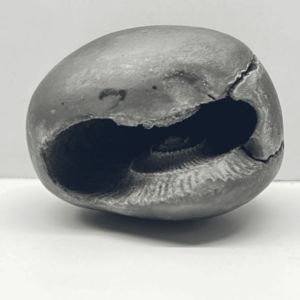 Ugra Narsimha Shaligram LN98(2inch/120gm)