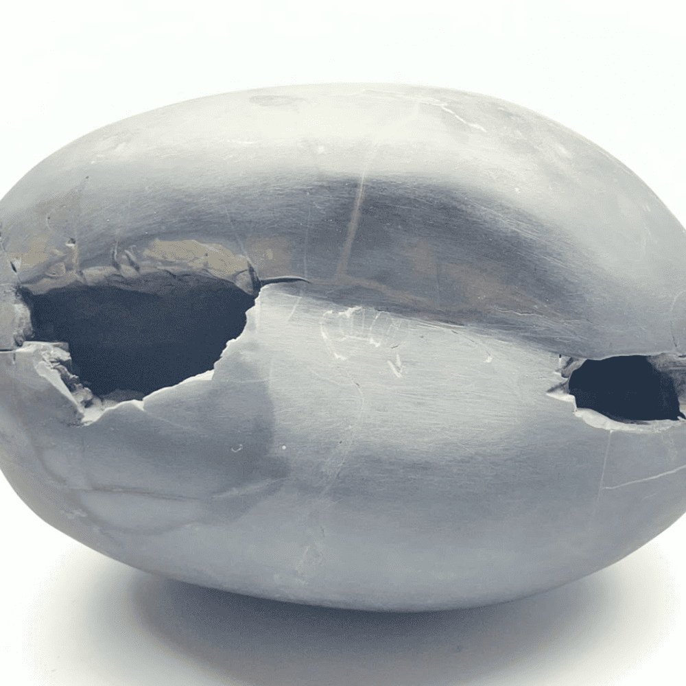 Laxmi Narayana Sita Ram Shaligram (4Chakras)- (15500gm/20inch)