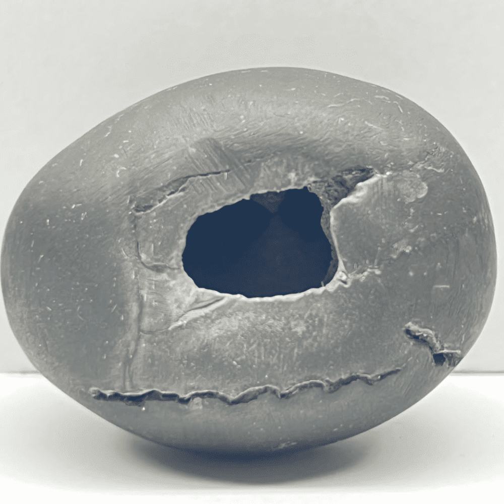 Laxmi Damodar Shaligram LN-78 (2.5inch/100gm)