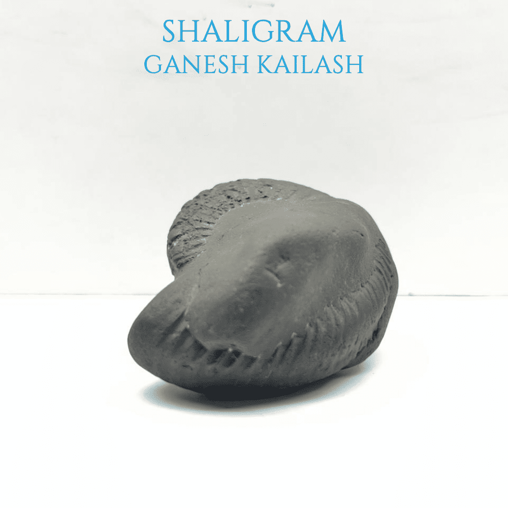 Ganesh Kailash Shaligram