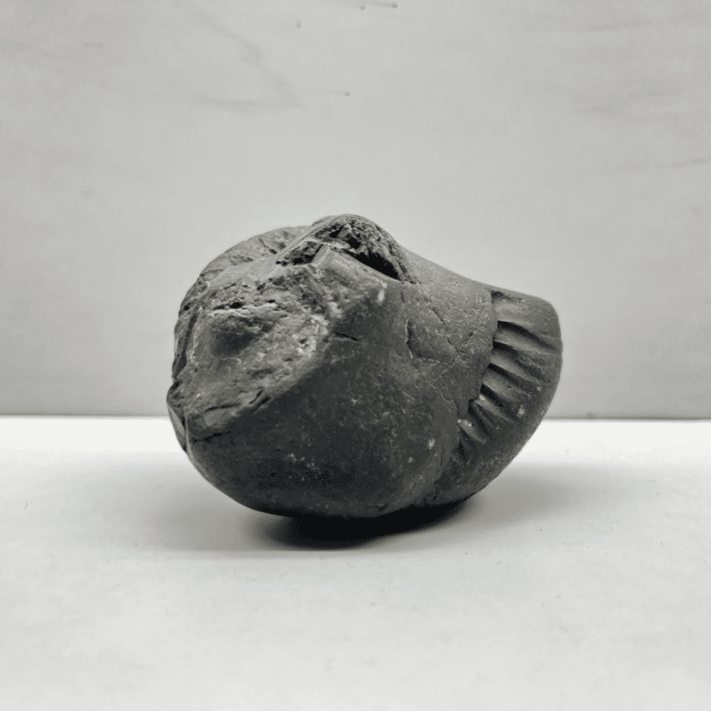 Ganesh Kailash Shaligram