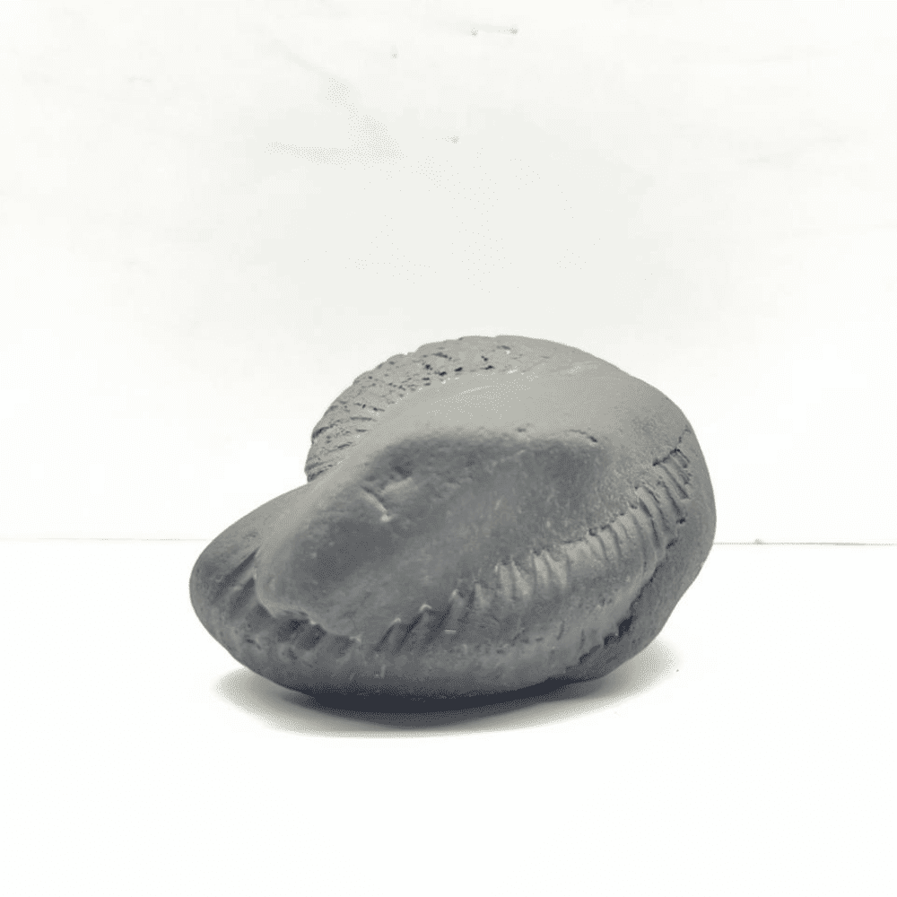 Ganesh Kailash Shaligram