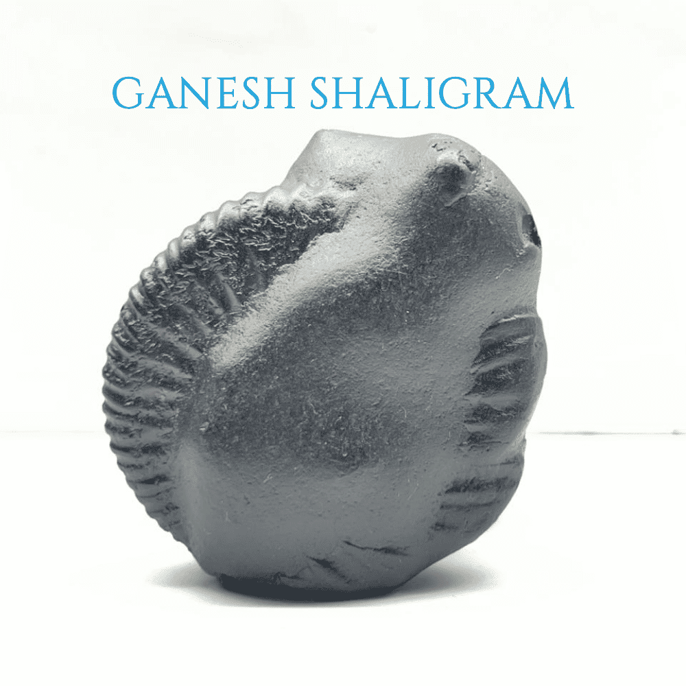 Ganesh Shaligram- G01
