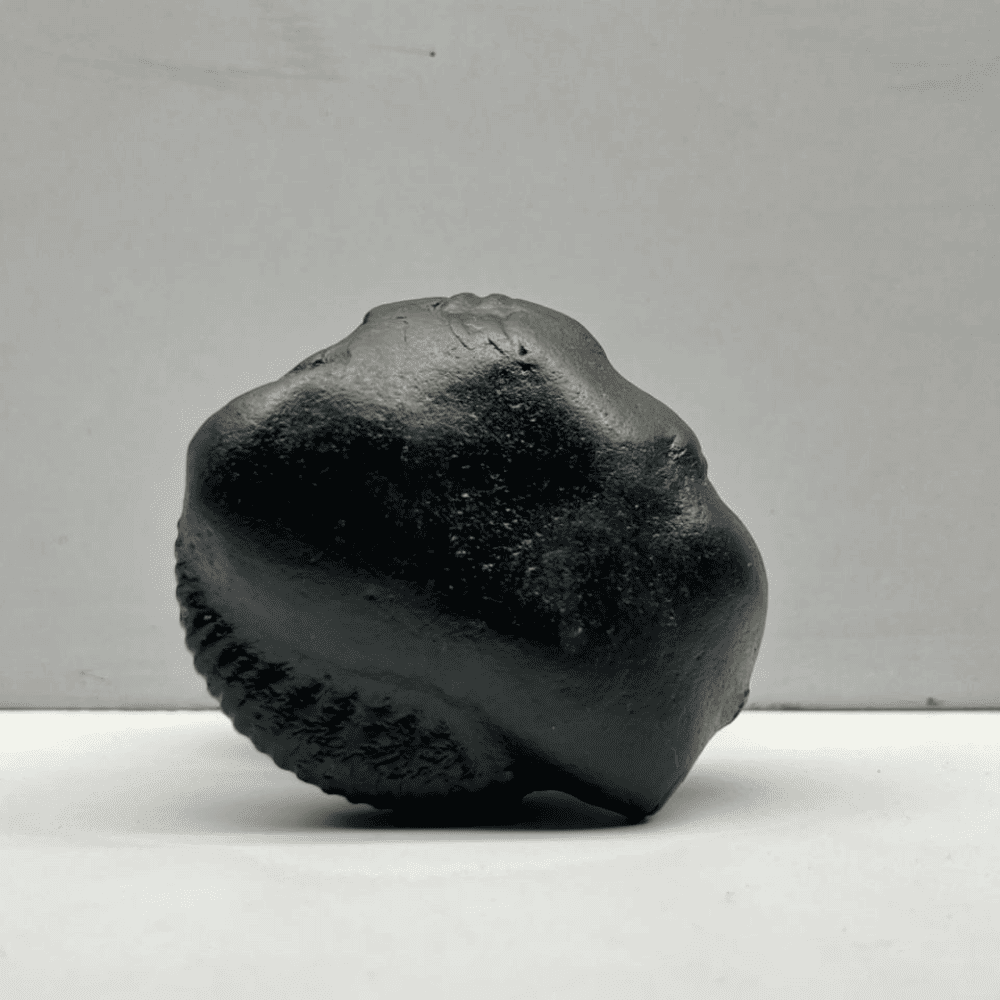 Ganesh Shaligram- G01