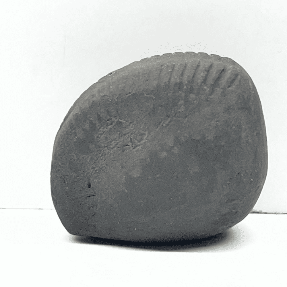 Laxmi Narayana Shaligram LN123(1.5inch/50gm)