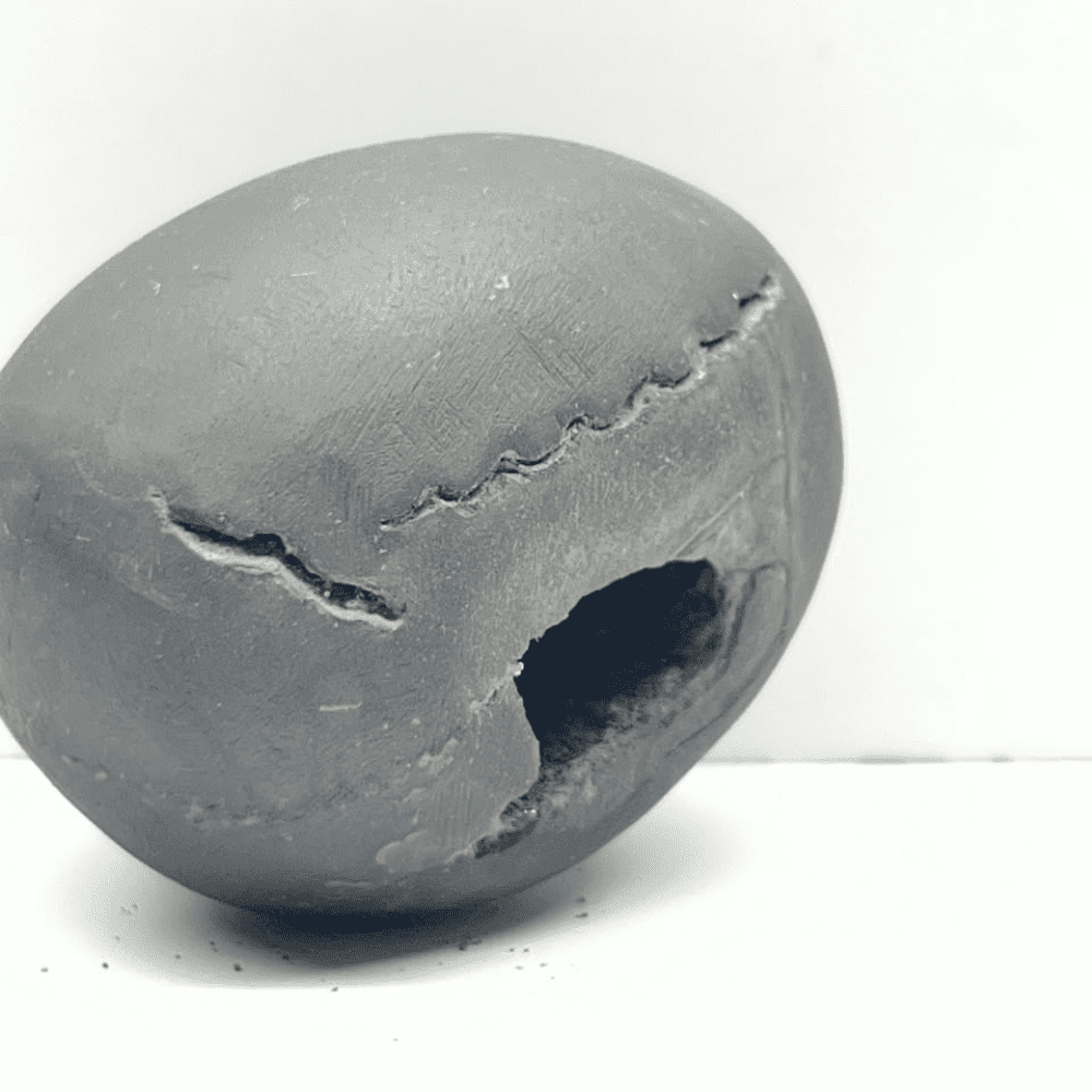 Laxmi Damodar Shaligram LN-78 (2.5inch/100gm)