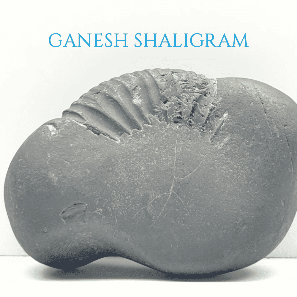 Ganesh Shaligram- G02