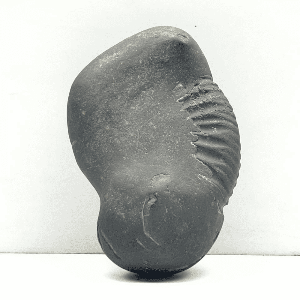 Ganesh Shaligram- G02