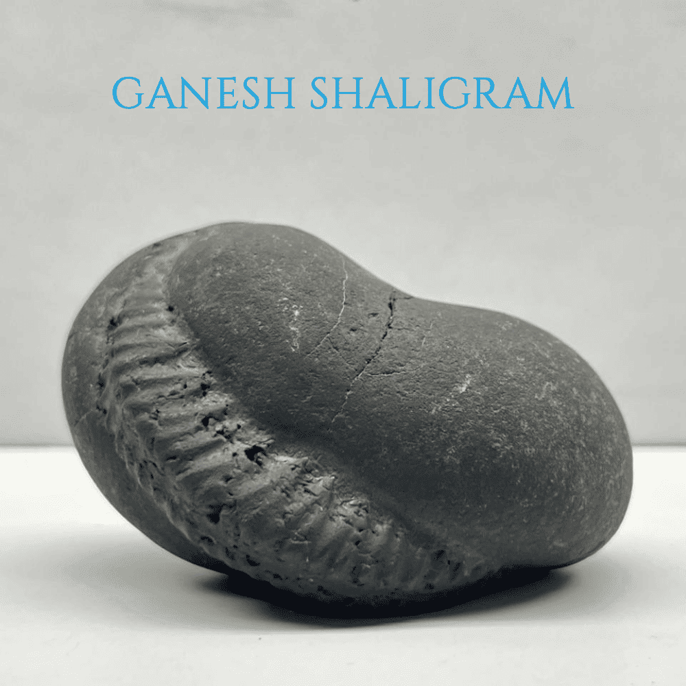 Ganesh Shaligram- G03