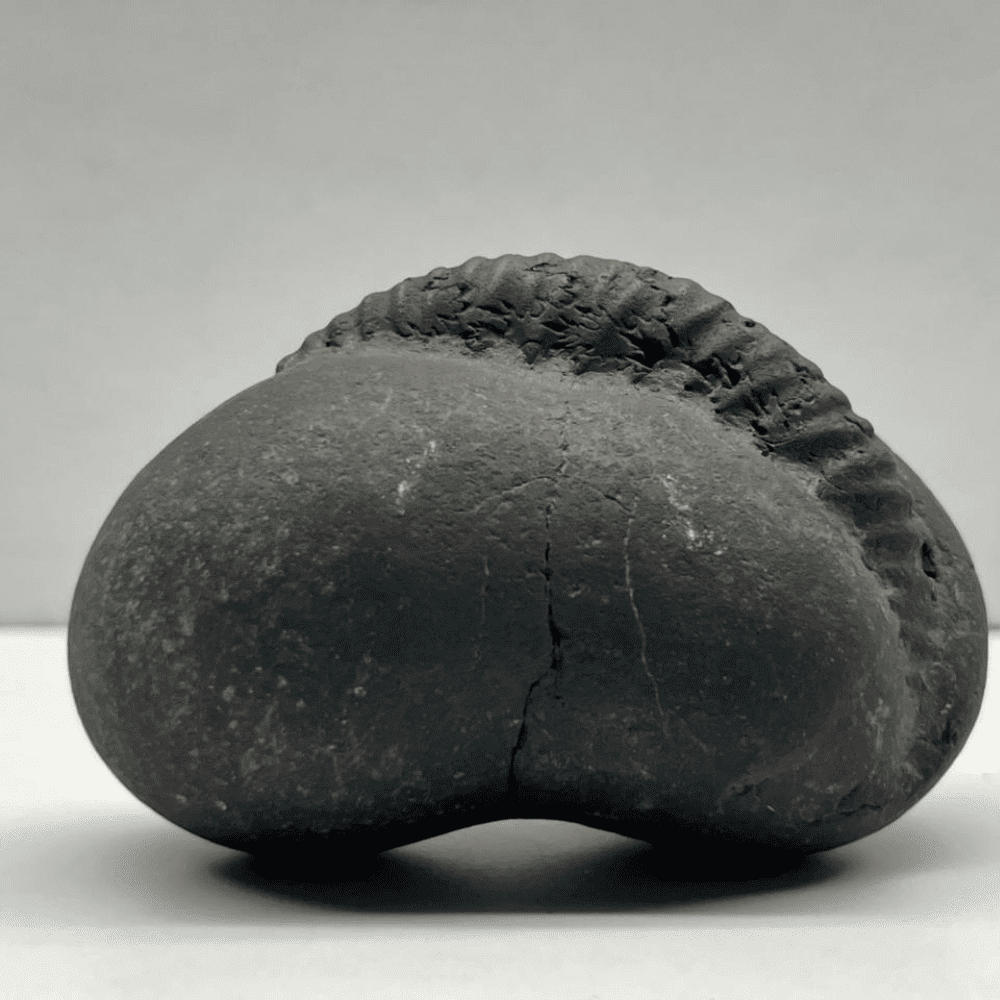 Ganesh Shaligram- G03