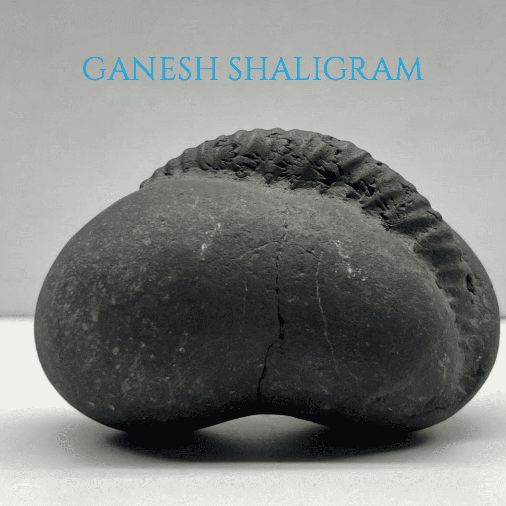 Ganesh Shaligram- G04