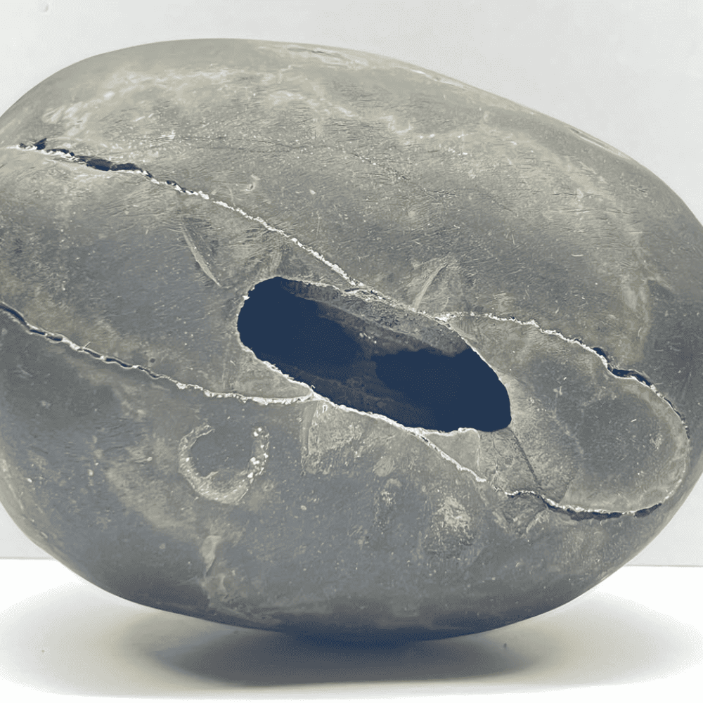 Golden Laxmi Damodar Shaligram LN-28 (5inch/750gm)