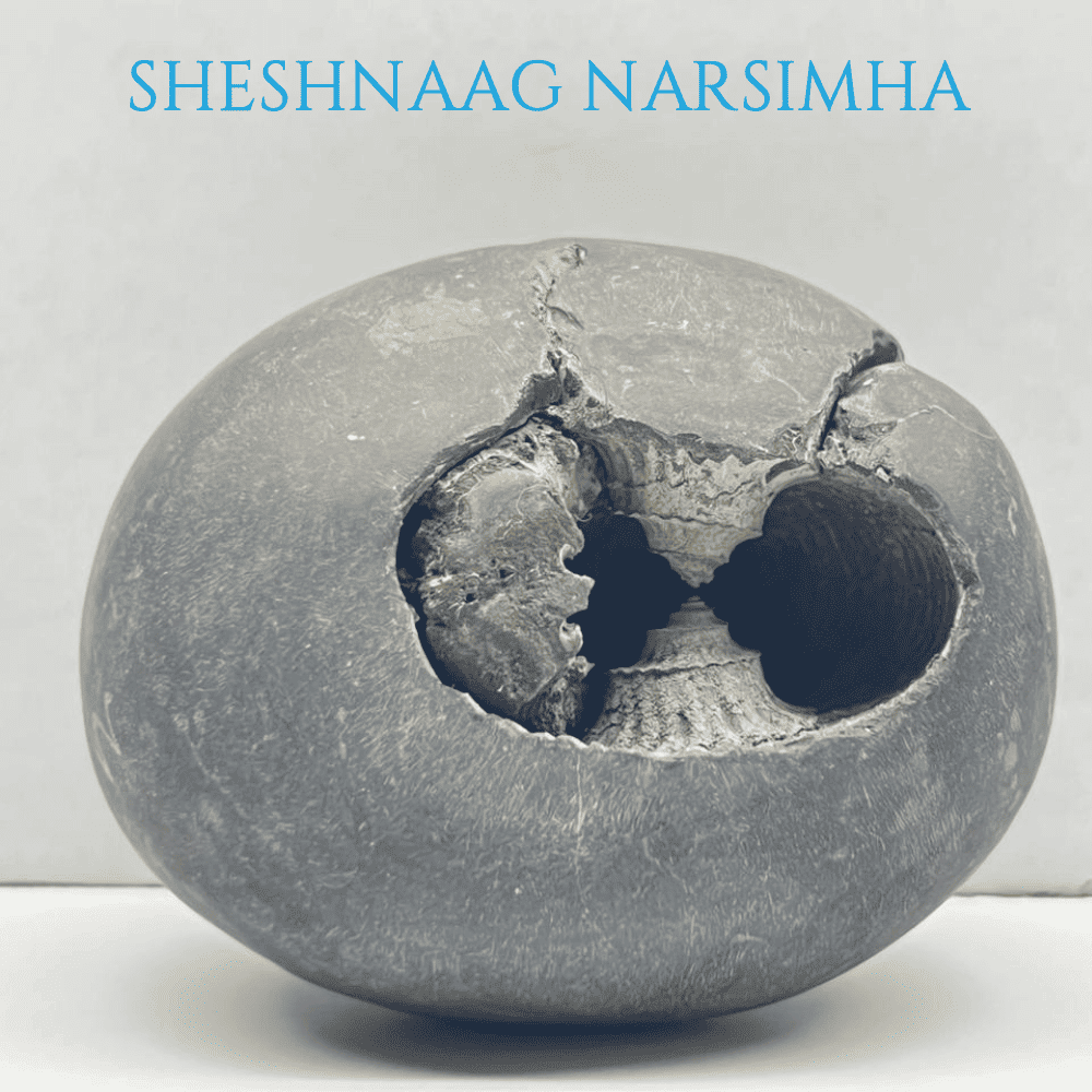 Sheshnaag Narsimha Shaligram