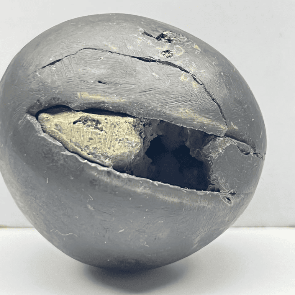 Laxmi Damodar Shaligram LN-74 (3inch/165gm)