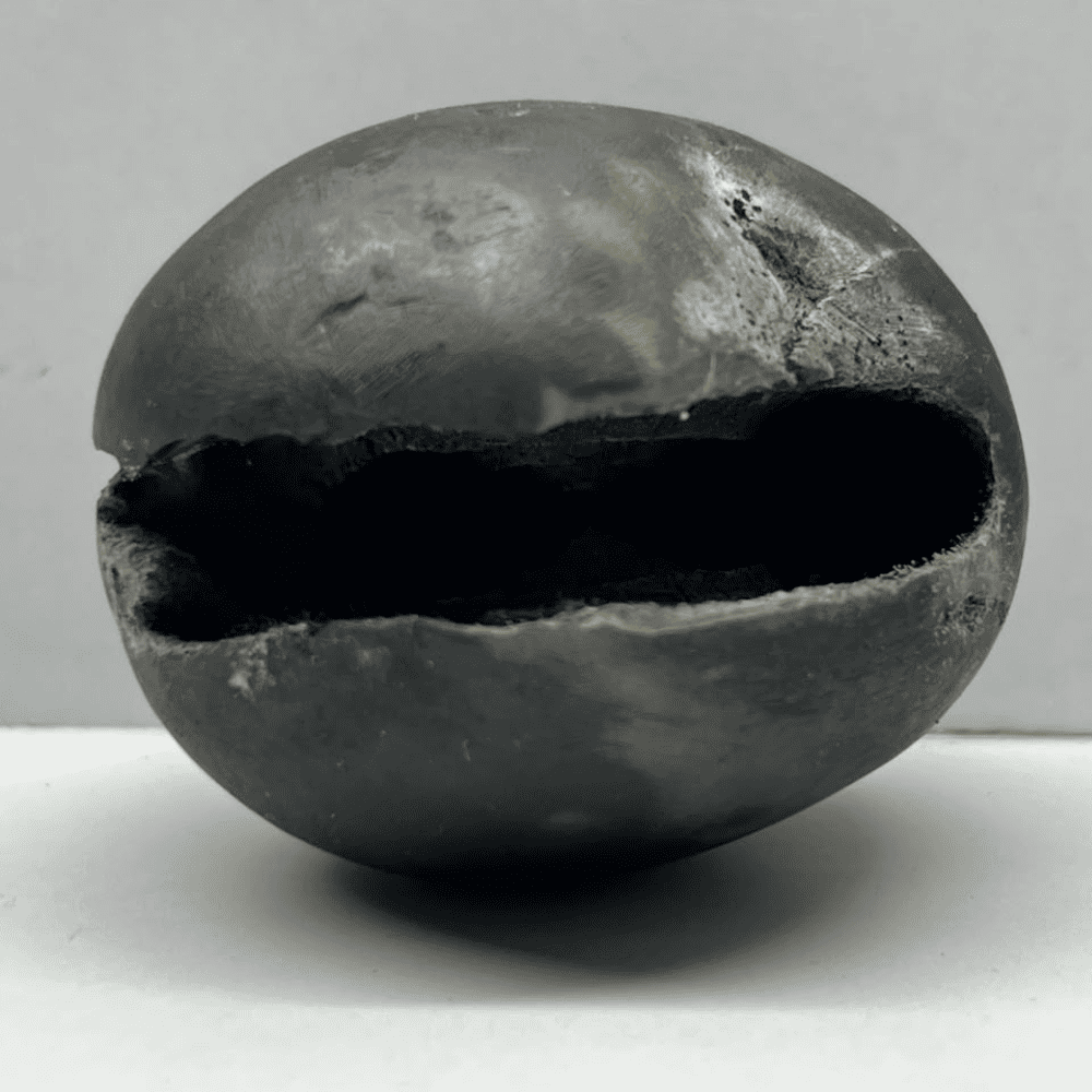 Laxmi Varaha Shaligram LN99(2.5inch/160gm)