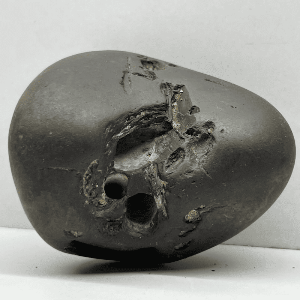 Ananta Srirama Shaligram LN114(4.5inch/300gm)
