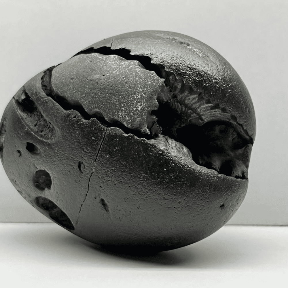 Kurma Laxmi Narayana Shaligram 4Chakras M05(3inch/300gm)