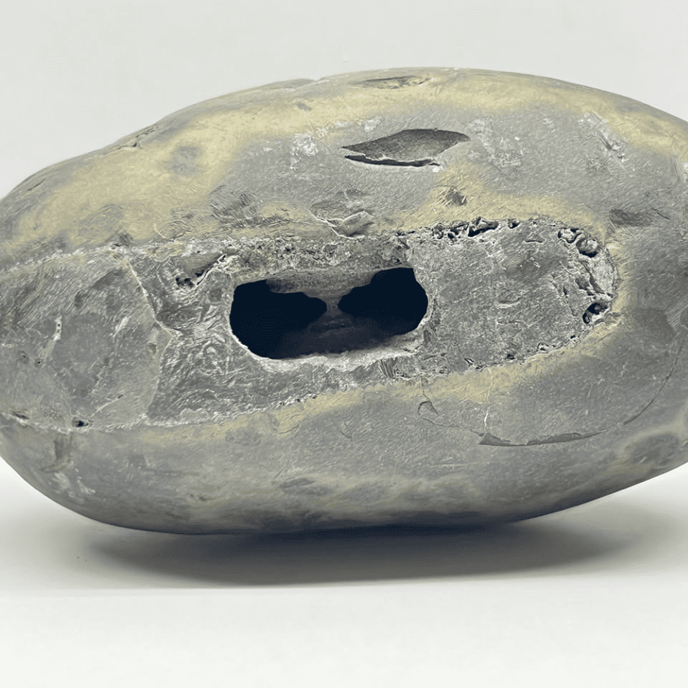 Peetam Laxmi Damodar Shaligram LN-35 (5inch/810gm)