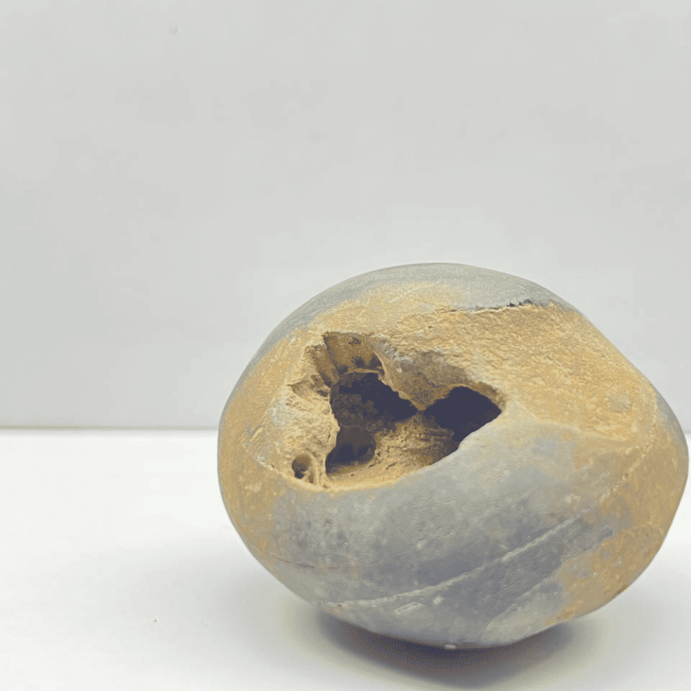 Sita Rama Shaligram