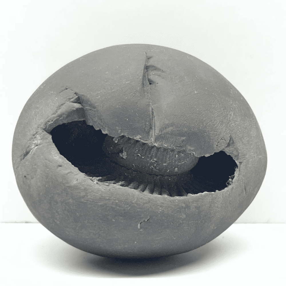 Shesh Vishnu Shaligram LN115(3.5inch/485gm)