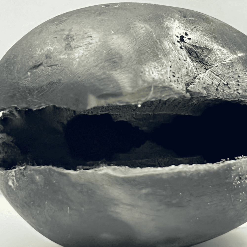 Laxmi Varaha Shaligram LN99(2.5inch/160gm)