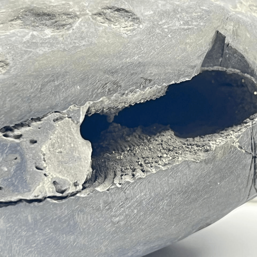 Golden Laxmi Narsimha Shaligram