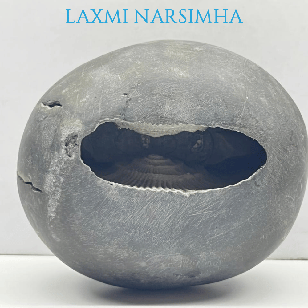 Big Laxmi Narsimha Shaligram