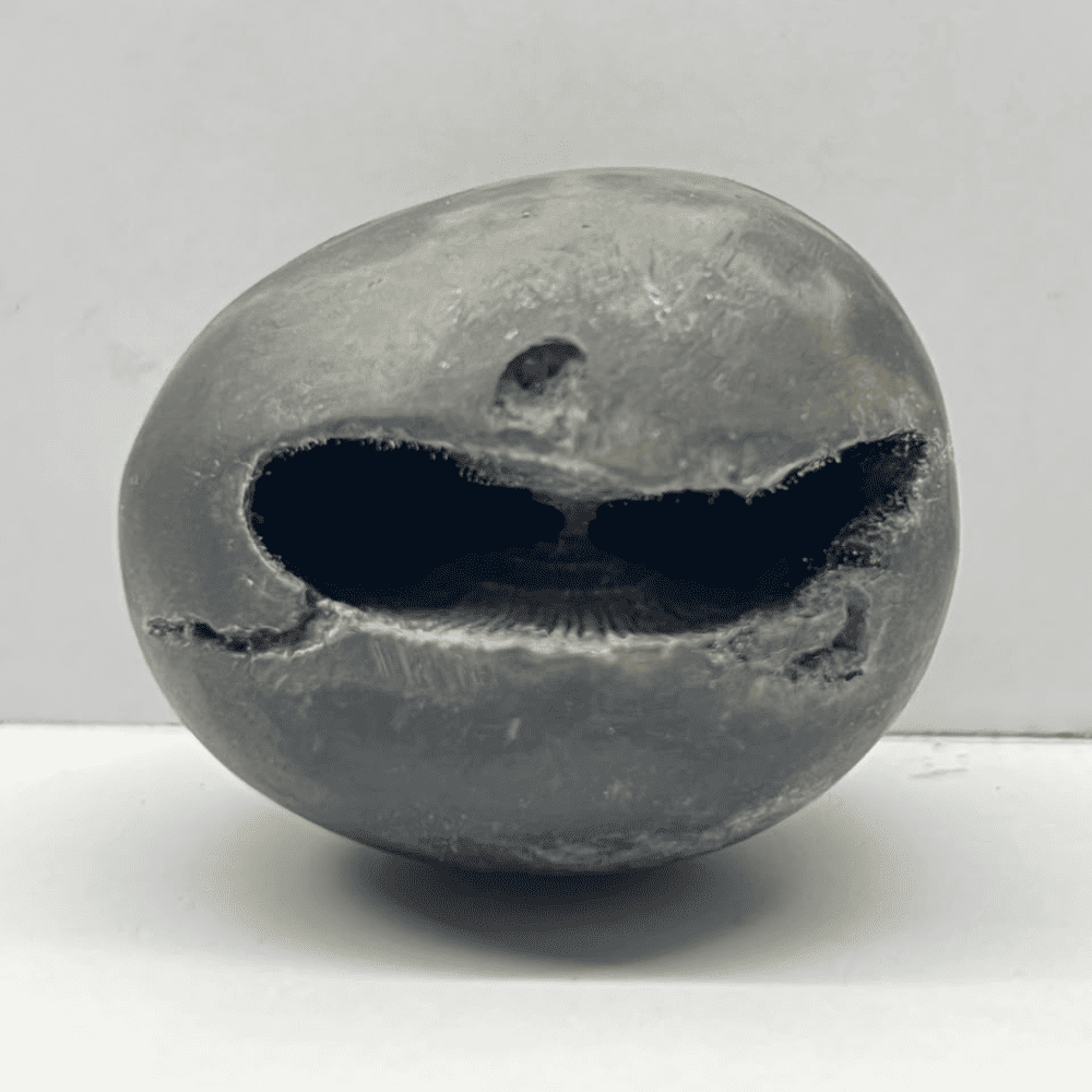 Laxmi Narsimha Shaligram LN100(2inch/150gm)