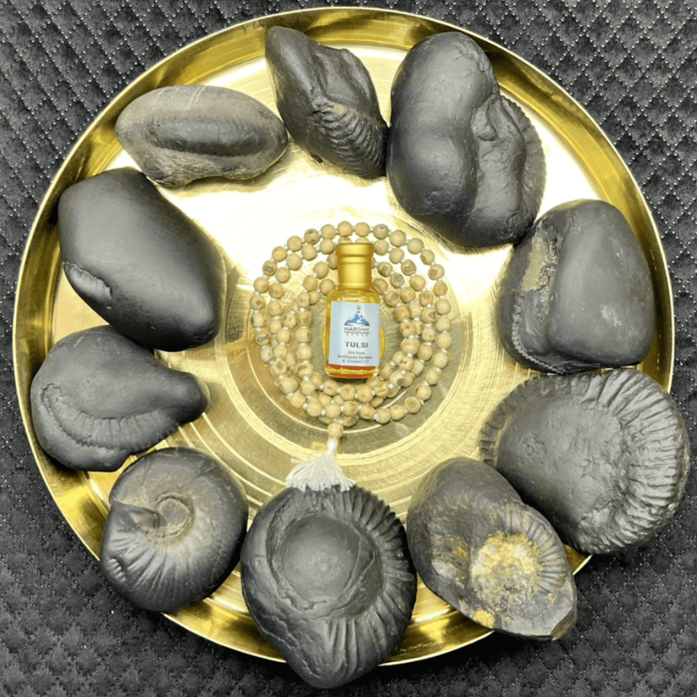 Dashavatar Shaligram Set-Big Size