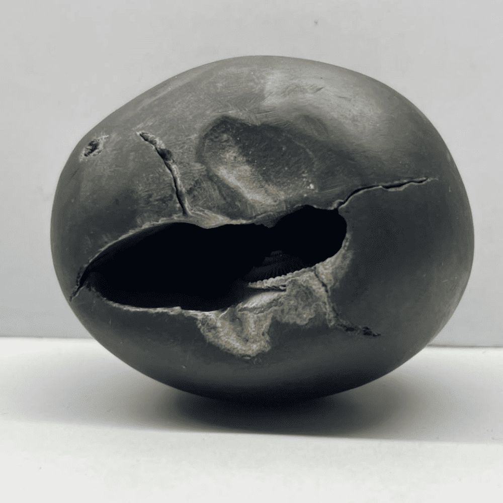 Laxmi Narsimha Shaligram LN-91 (3inch/285gm)
