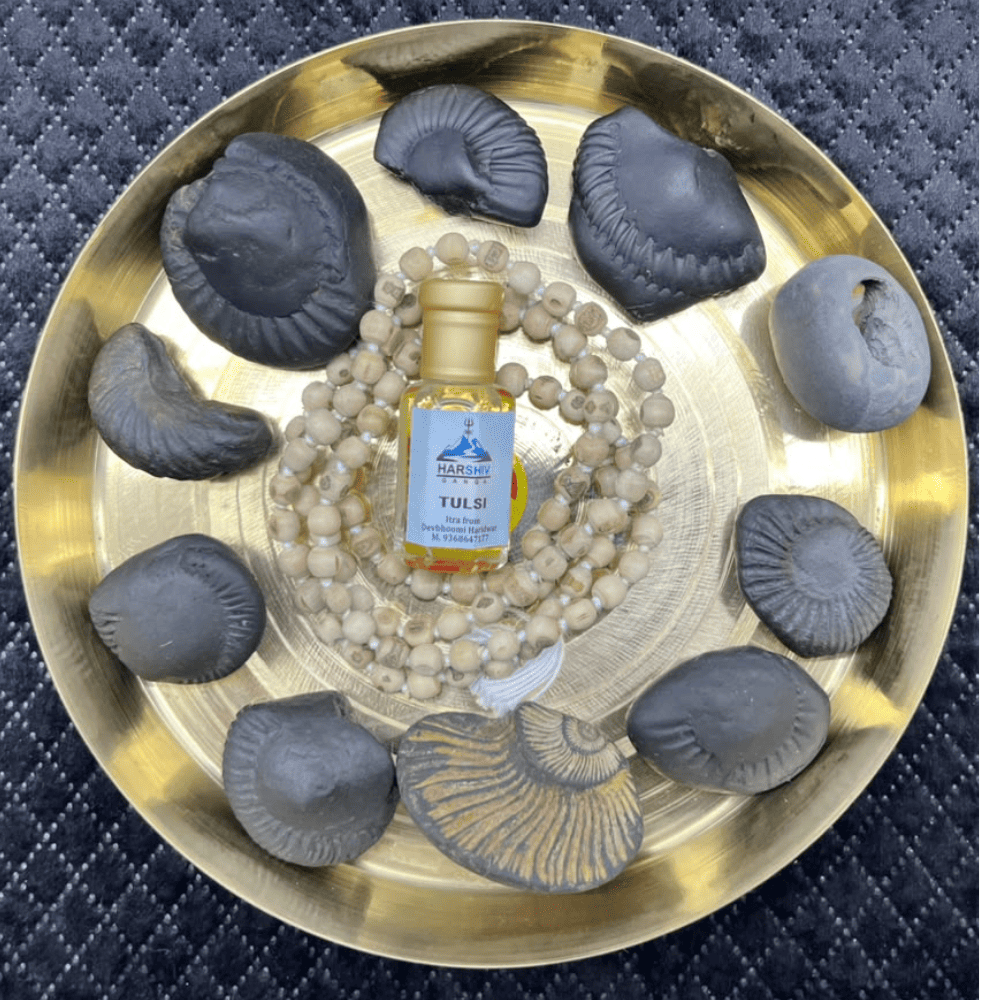 Dashavatar Shaligram Set-Small Size