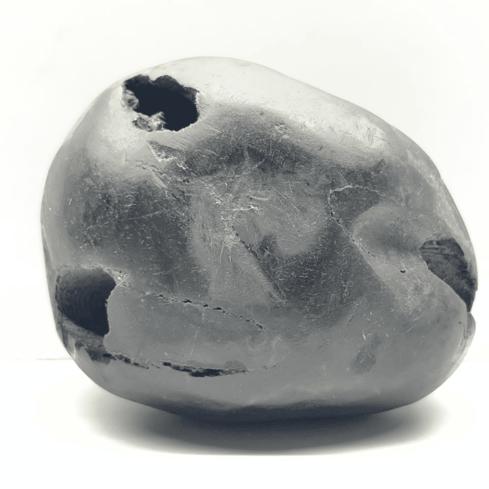 M11 Panch Chakra Laxmi Narayana Shaligram (4.5inch/925gm)