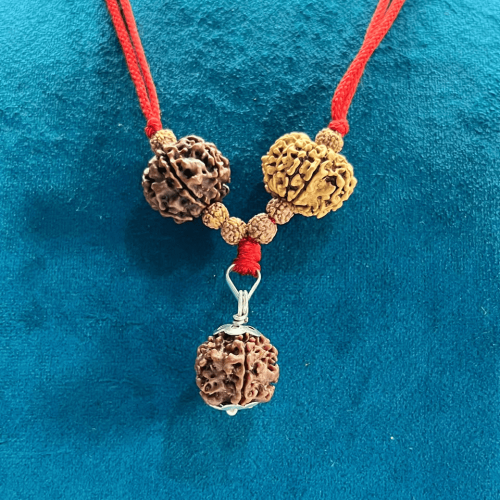 Migraine Relief Kavach (1+5+9 Mukhi Rudraksha)