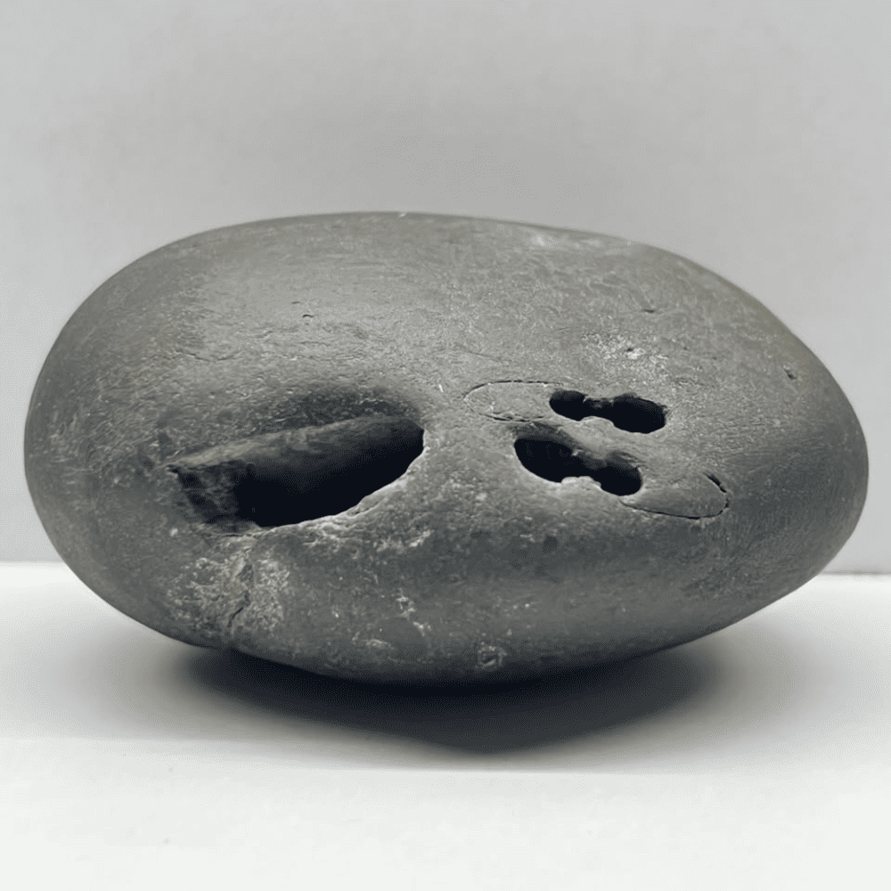 Shatchakra Sita Ram Shaligram 6Chakras-M29(3inch/175gm)