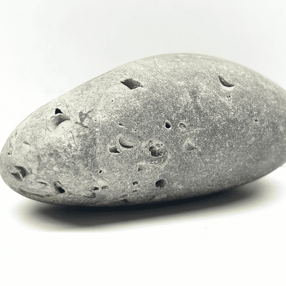 Ananta Shaligram AN01(275gm/4inch)