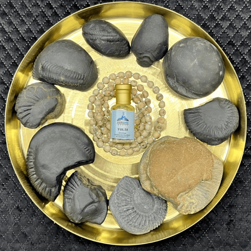 Dashavatar Shaligram Set-Medium Size