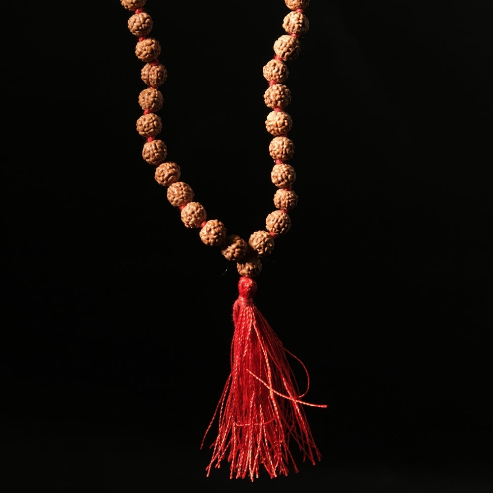 6 Mukhi Rudraksha Mala - Mala/ Bracelets