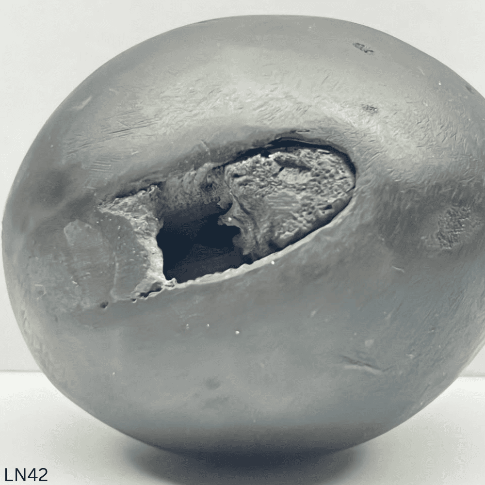 Laxmi Damodar Shaligram LN-42 (2.5inch/230gm)